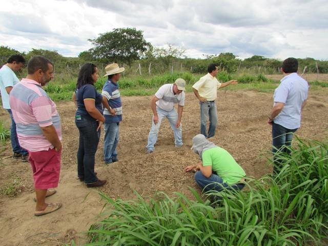Equipe da EMBRAPA Brasília Realizou Visita Técnica em Ipiranga - Imagem 30