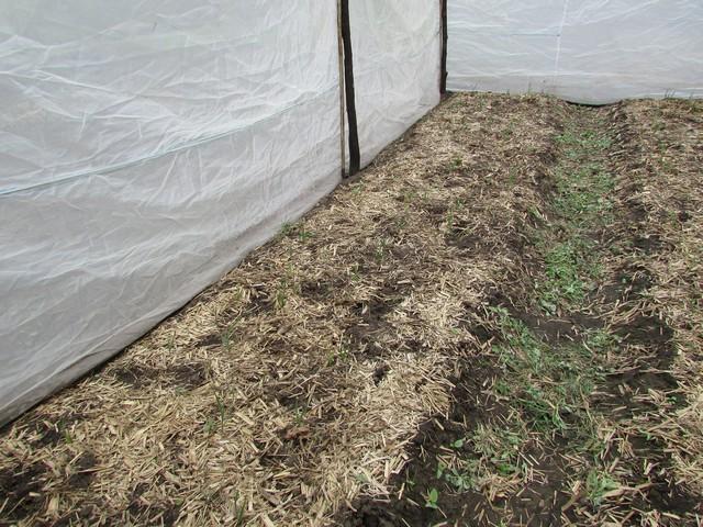 Equipe da EMBRAPA Brasília Realizou Visita Técnica em Ipiranga - Imagem 61