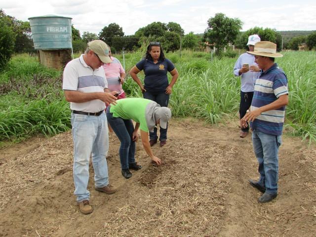Equipe da EMBRAPA Brasília Realizou Visita Técnica em Ipiranga - Imagem 36