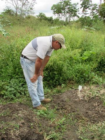 Equipe da EMBRAPA Brasília Realizou Visita Técnica em Ipiranga - Imagem 56