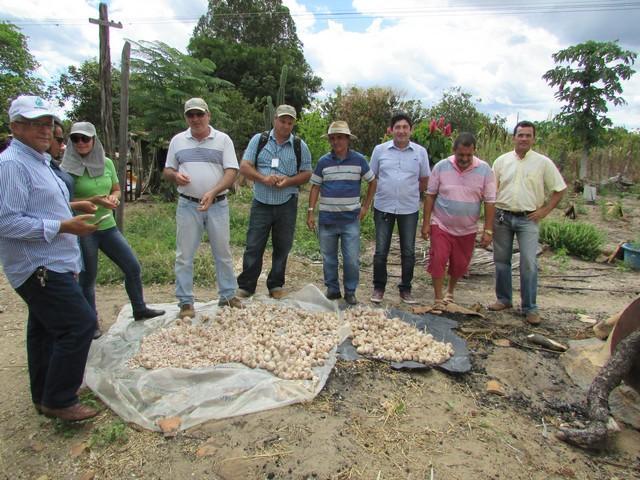 Equipe da EMBRAPA Brasília Realizou Visita Técnica em Ipiranga - Imagem 21