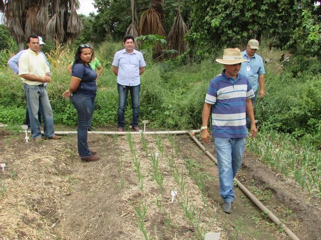 Equipe da EMBRAPA Brasília Realizou Visita Técnica em Ipiranga - Imagem 57