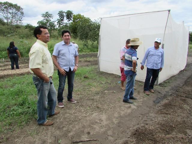 Equipe da EMBRAPA Brasília Realizou Visita Técnica em Ipiranga - Imagem 65