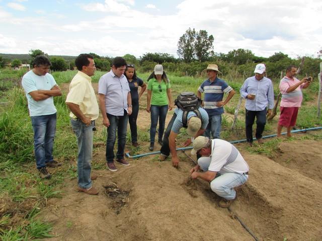 Equipe da EMBRAPA Brasília Realizou Visita Técnica em Ipiranga - Imagem 39