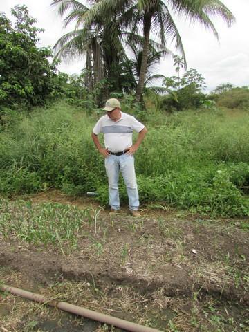 Equipe da EMBRAPA Brasília Realizou Visita Técnica em Ipiranga - Imagem 54