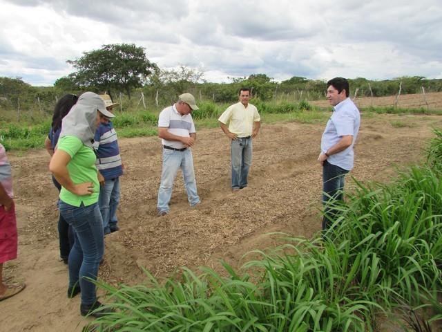 Equipe da EMBRAPA Brasília Realizou Visita Técnica em Ipiranga - Imagem 29