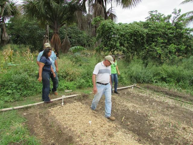 Equipe da EMBRAPA Brasília Realizou Visita Técnica em Ipiranga - Imagem 63