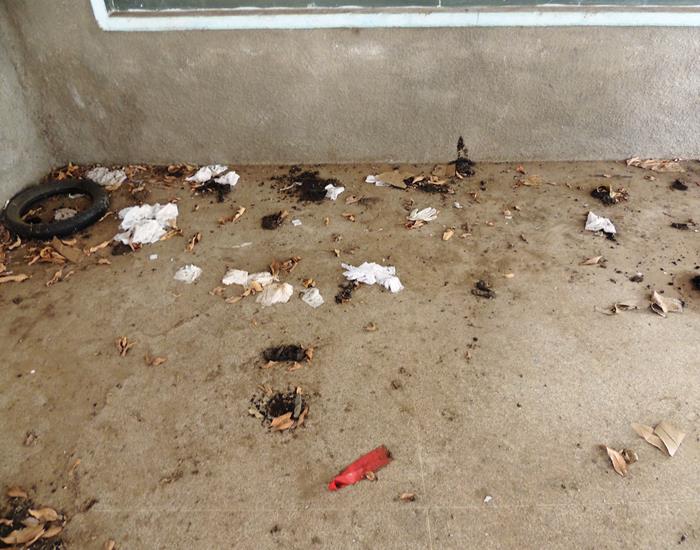 Marechal Pires Ferreira: município salva da depredação - Imagem 16