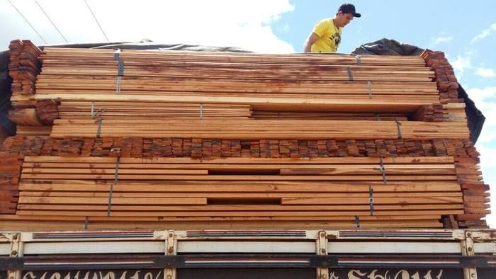 PRF de Parnaíba flagra carreta transportando madeira ilegal do Pará - Imagem 1