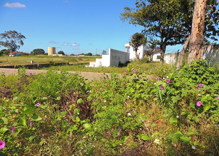 Prefeito Alvimar acompanha equipe da FUNDESPI em visita ao estádio - Imagem 9