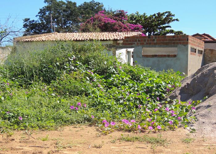 Prefeito Alvimar acompanha equipe da FUNDESPI em visita ao estádio - Imagem 24