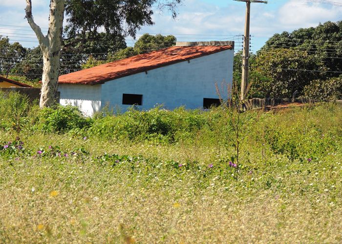Prefeito Alvimar acompanha equipe da FUNDESPI em visita ao estádio - Imagem 17