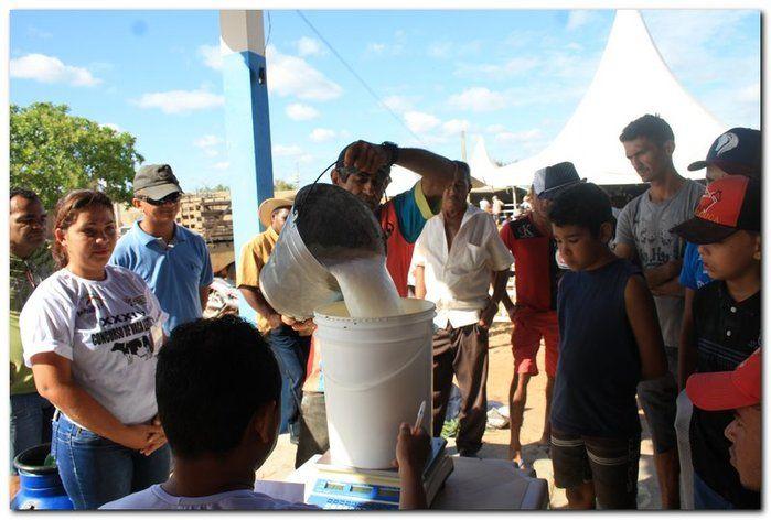34° Concurso de Gado Leiteiro  - Imagem 32