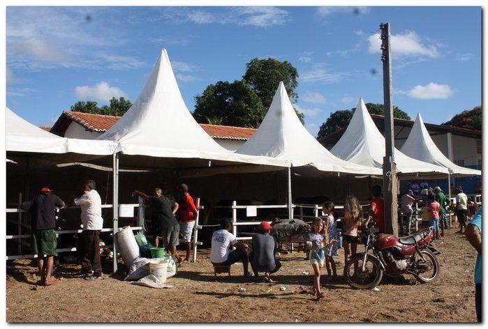 34° Concurso de Gado Leiteiro  - Imagem 21