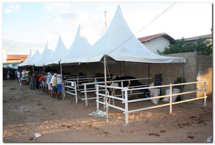 34° Concurso de Gado Leiteiro  - Imagem 1