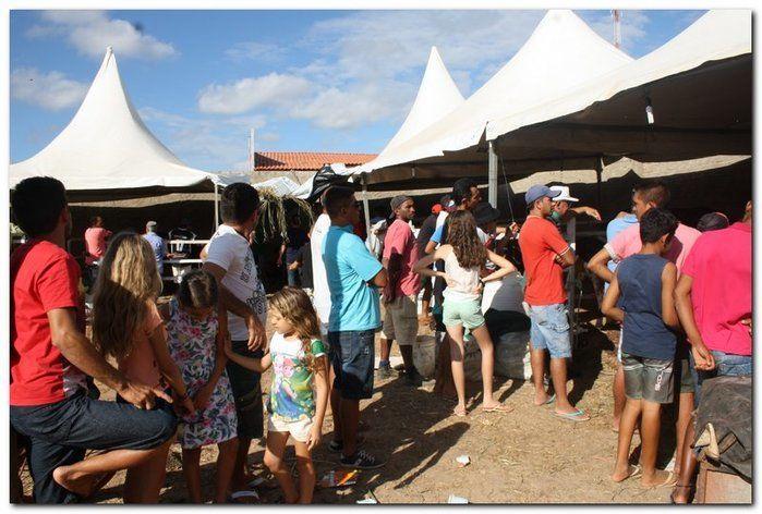 34° Concurso de Gado Leiteiro  - Imagem 23