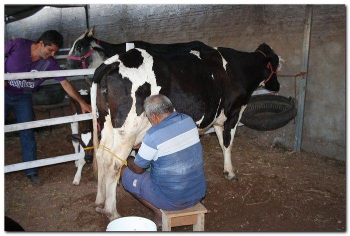 Comunidade inhumense comemora o aniversário da Cidade - Imagem 107