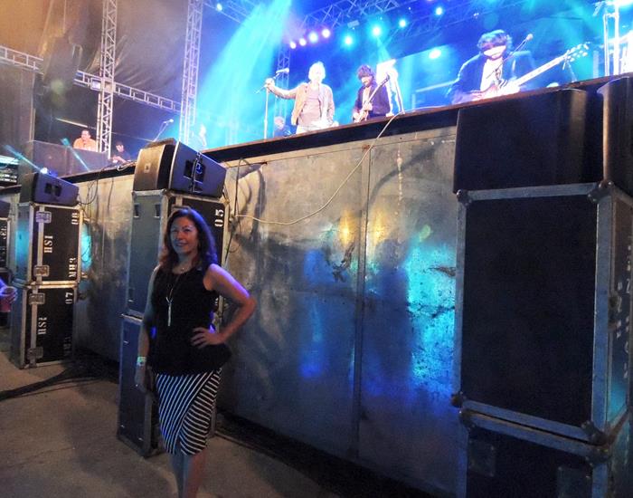 Público faz artistas se empolgarem pelo carisma nos shows  - Imagem 48