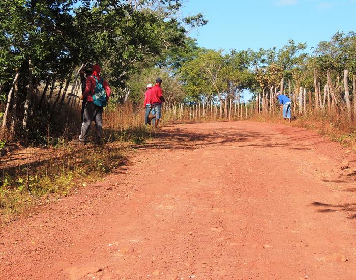 Município intensifica ações nas comunidades rurais - Imagem 3