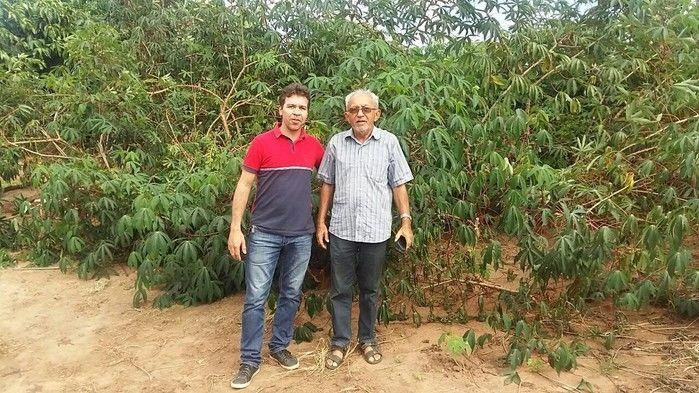 Assistência técnica qualificada melhorar a vida do produtor rural - Imagem 1
