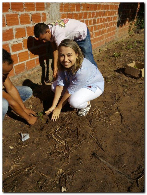 Horta terapêutica do CAPS passa por reformulação - Imagem 3