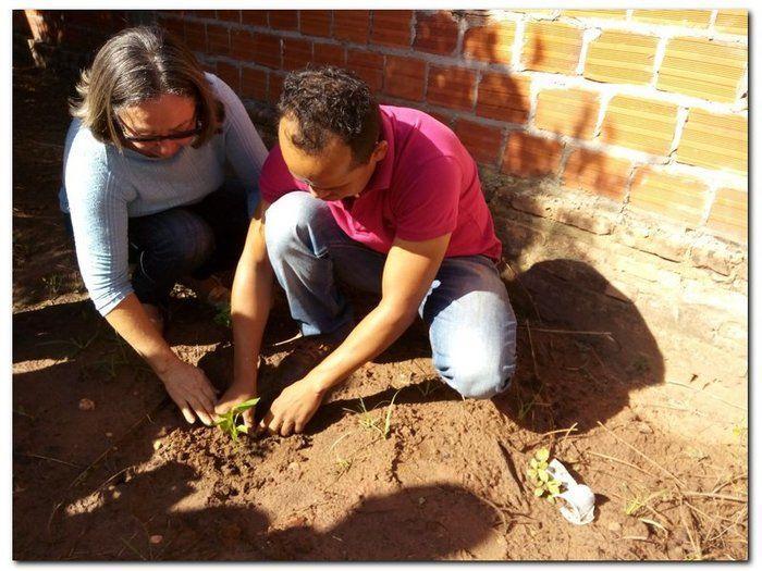 Horta terapêutica do CAPS passa por reformulação - Imagem 1