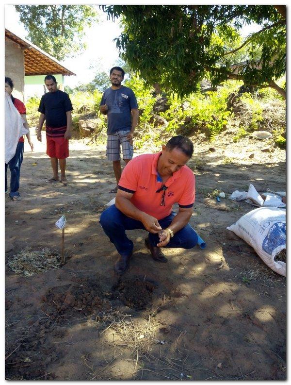 Horta terapêutica do CAPS passa por reformulação - Imagem 5
