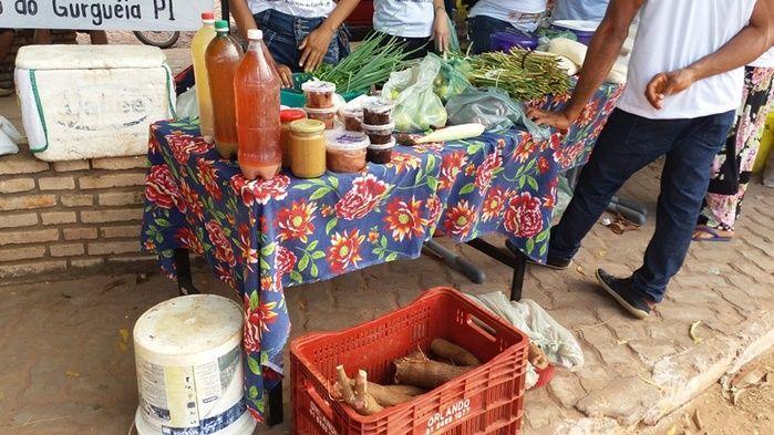 Alunos do Projovem Campo promovem Feira Solidária - Imagem 2