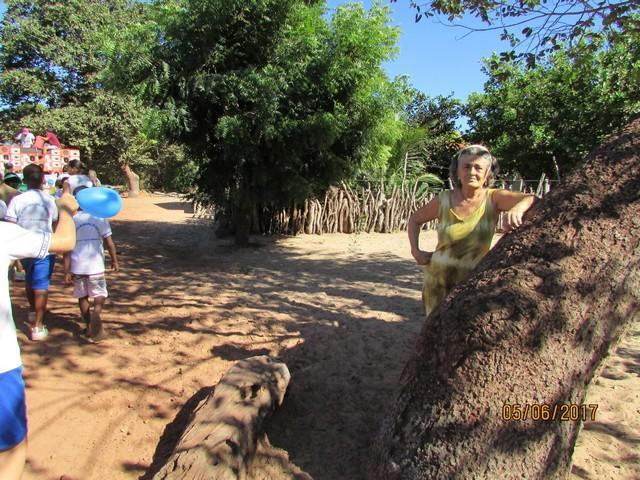 Escola Liberato Vieira Realizou Caminhada Ecológica - Imagem 109