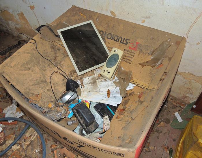 Prédio da SEMAS passará por reforma geral - Imagem 6