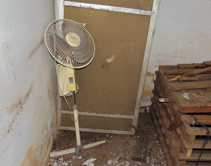 Prédio da SEMAS passará por reforma geral - Imagem 4