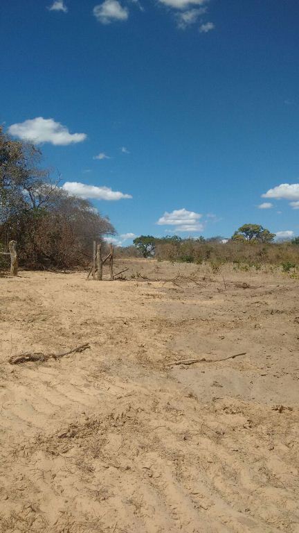 Prefeito causa confusão à organização do Festejo da cidade - Imagem 2