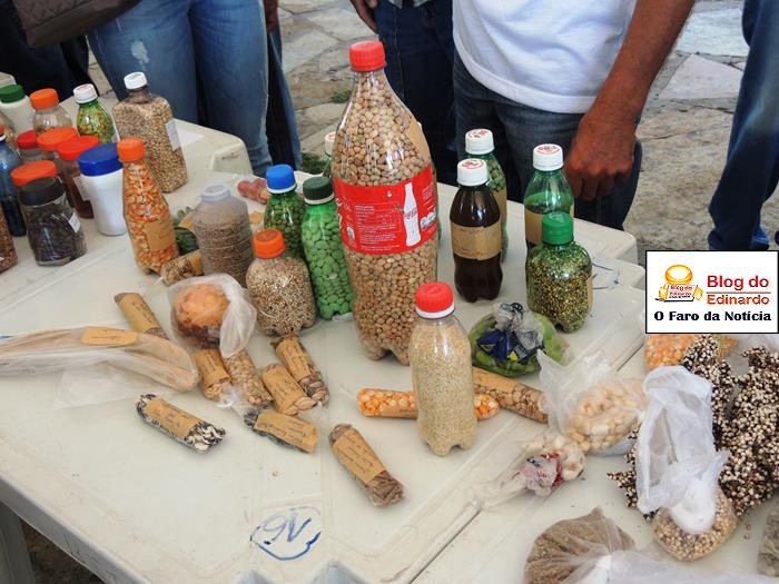 Pedro II sedia III Festival das Sementes da Fartura do Piauí  - Imagem 8
