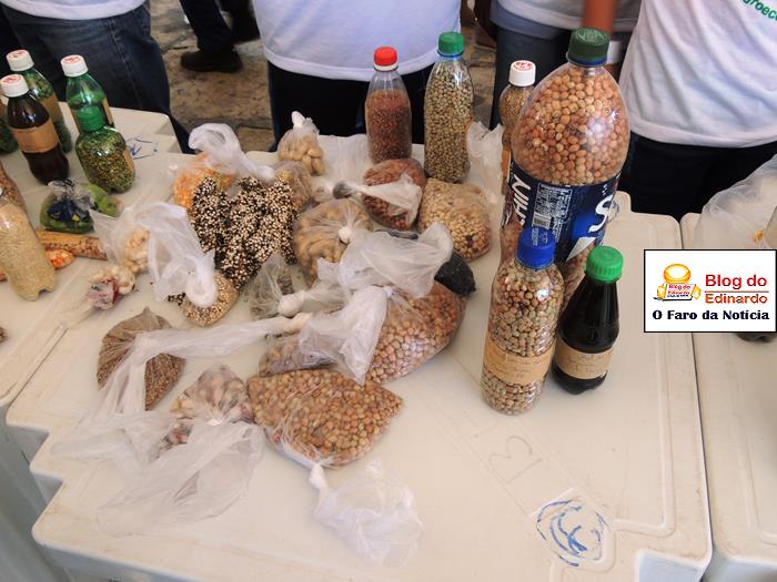 Pedro II sedia III Festival das Sementes da Fartura do Piauí  - Imagem 7