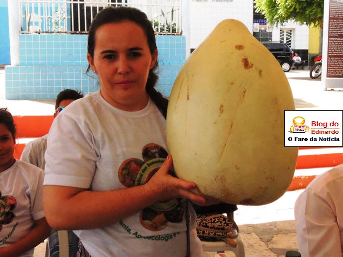Pedro II sedia III Festival das Sementes da Fartura do Piauí  - Imagem 81