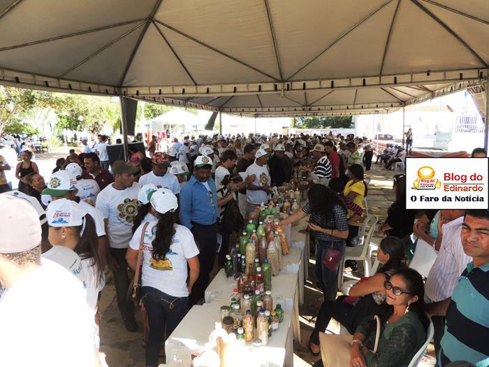 Pedro II sedia III Festival das Sementes da Fartura do Piauí  - Imagem 15
