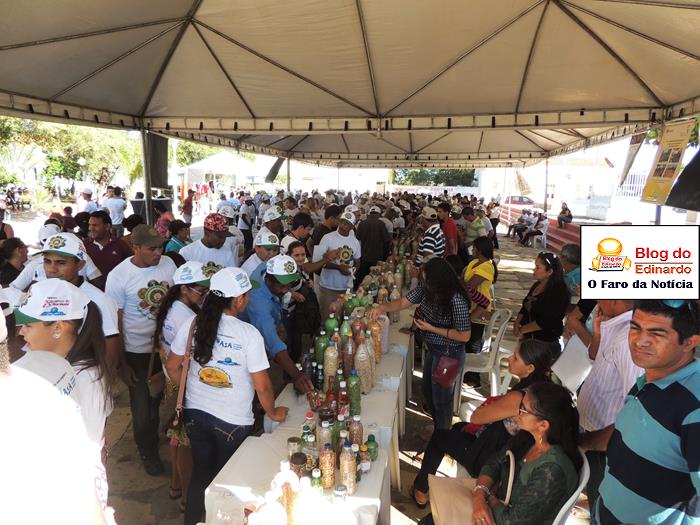 Pedro II sedia III Festival das Sementes da Fartura do Piauí  - Imagem 16