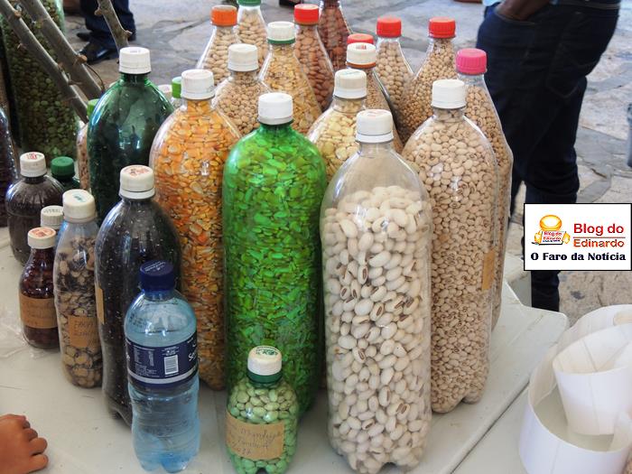 Pedro II sedia III Festival das Sementes da Fartura do Piauí  - Imagem 12