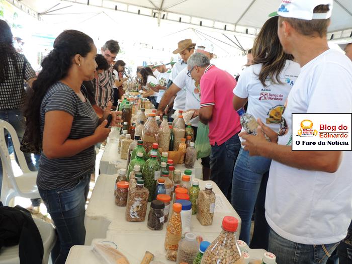 Pedro II sedia III Festival das Sementes da Fartura do Piauí  - Imagem 9