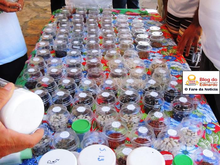 Pedro II sedia III Festival das Sementes da Fartura do Piauí  - Imagem 31