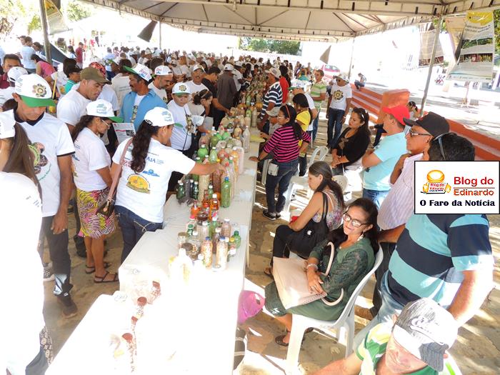 Pedro II sedia III Festival das Sementes da Fartura do Piauí  - Imagem 18