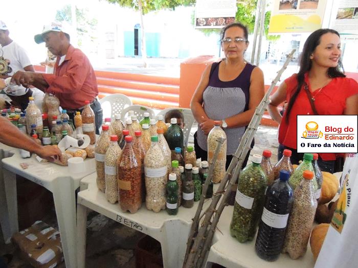 Pedro II sedia III Festival das Sementes da Fartura do Piauí  - Imagem 26