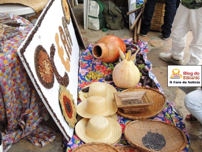 Pedro II sedia III Festival das Sementes da Fartura do Piauí  - Imagem 84