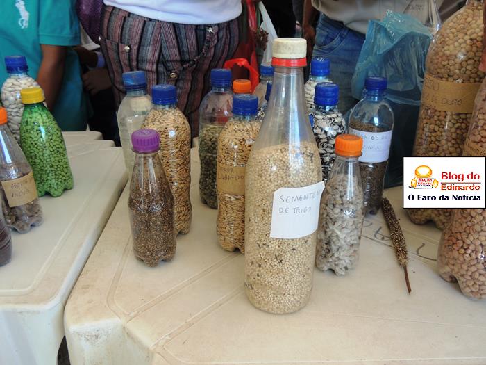 Pedro II sedia III Festival das Sementes da Fartura do Piauí  - Imagem 5