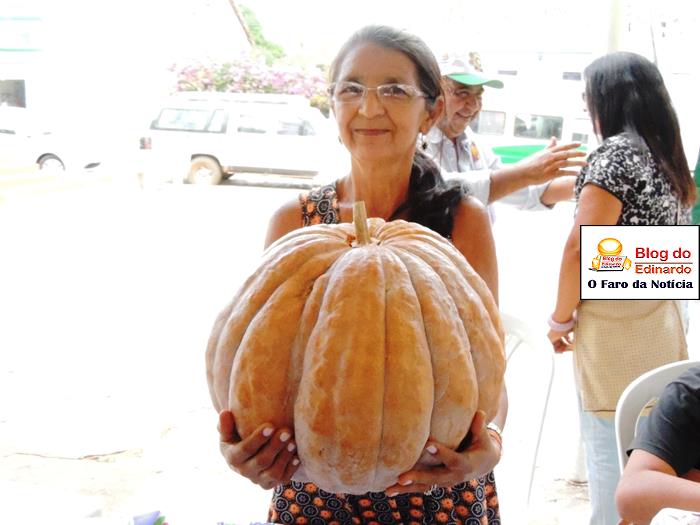 Pedro II sedia III Festival das Sementes da Fartura do Piauí  - Imagem 86