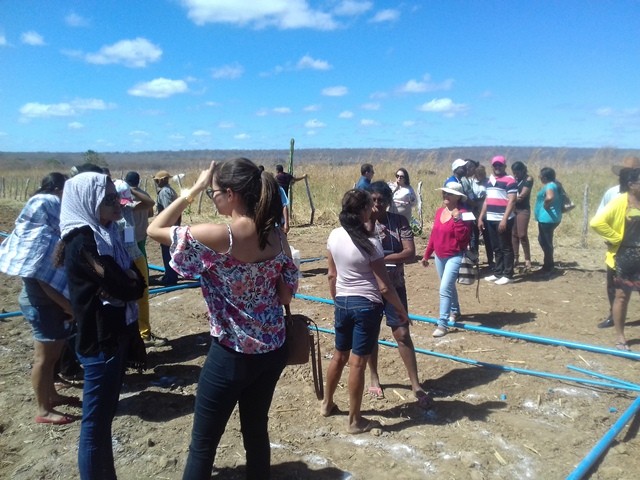 Colônia do Piauí recebe o Projeto “Sertão Irrigado”  - Imagem 42