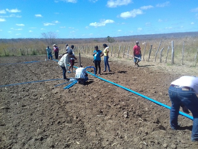 Colônia do Piauí recebe o Projeto “Sertão Irrigado”  - Imagem 53