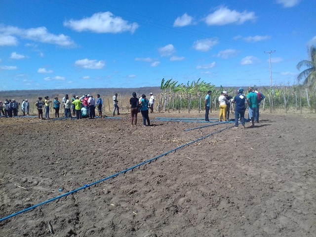 Colônia do Piauí recebe o Projeto “Sertão Irrigado”  - Imagem 26