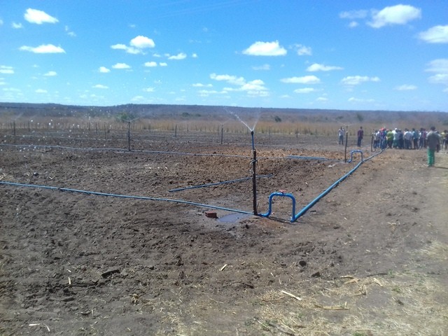 Colônia do Piauí recebe o Projeto “Sertão Irrigado”  - Imagem 74