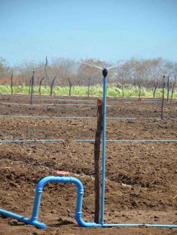 Colônia do Piauí recebe o Projeto “Sertão Irrigado”  - Imagem 14